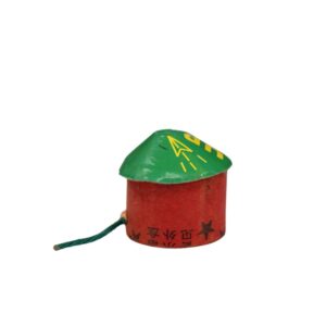 champiñon 5 Champiñón Volador