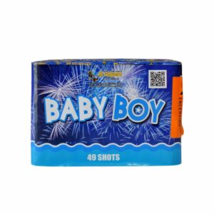 Torta Baby Boy 49 Tiros